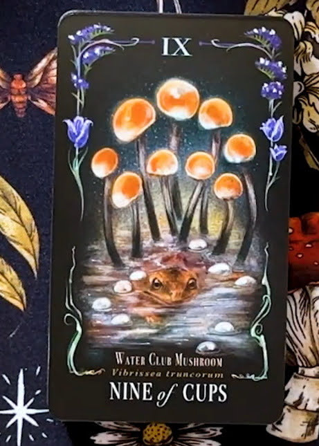 Midnight Magic: A Tarot Deck of Mushrooms